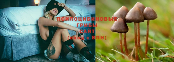 каннабис Нефтекумск