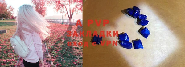 ГАЛЛЮЦИНОГЕННЫЕ ГРИБЫ Снежногорск