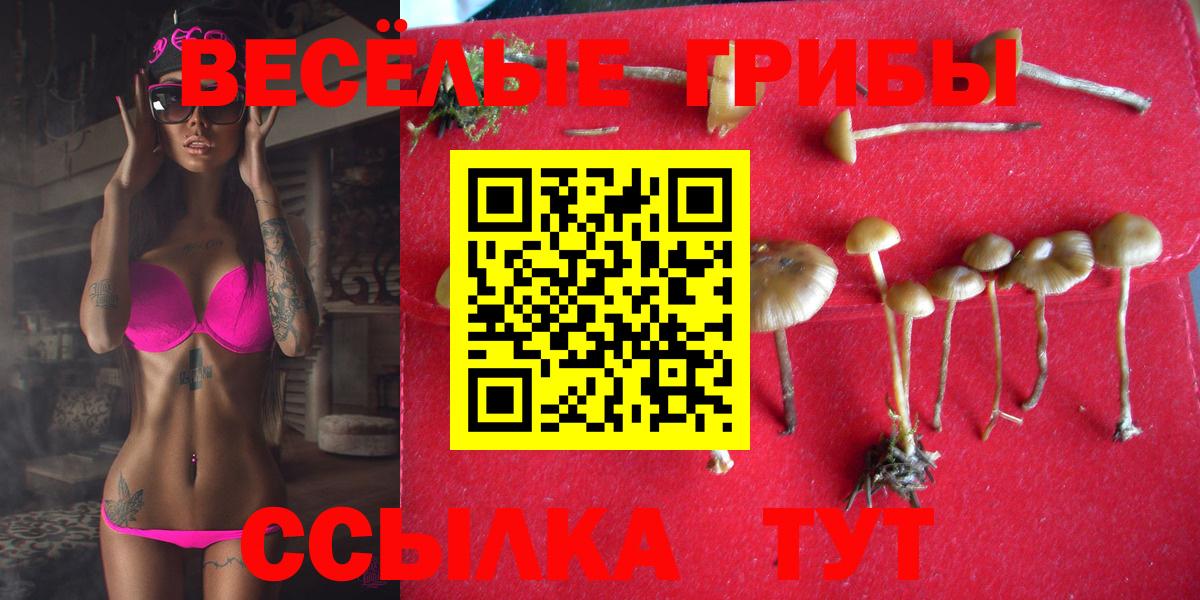 Псилоцибиновые грибы прущие грибы  Псилоцибиновые грибы Cubensis  Вход с VPN  Хасавюрт 