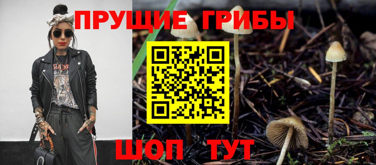 Псилоцибиновые грибы прущие грибы Хасавюрт